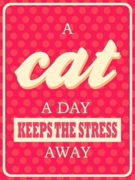 A cat a day keeps stress away aluminium sign