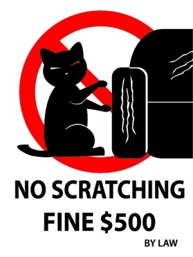 No cat scratching $500 fine aluminium sign