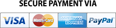 Secure payment via PayPal
